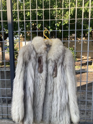 Pelliccia saga fox vera - pelliccia,